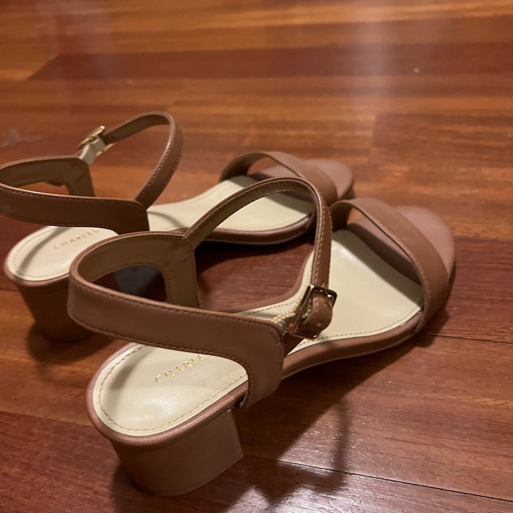 Charles & Keith low heel sandals